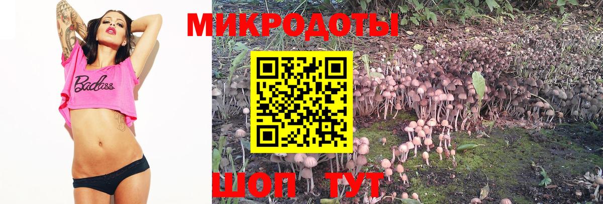 Псилоцибиновые грибы Magic Shrooms Каменск-Шахтинский