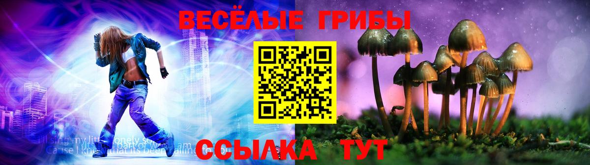 LSD-25 Каменск-Шахтинский